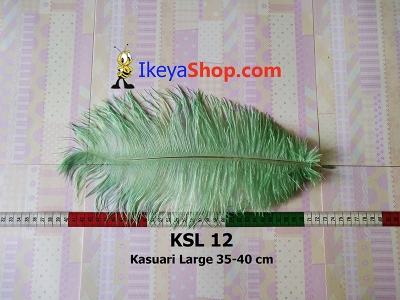 KSL 12  large2